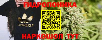 spice Донецк