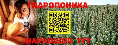 spice Донецк