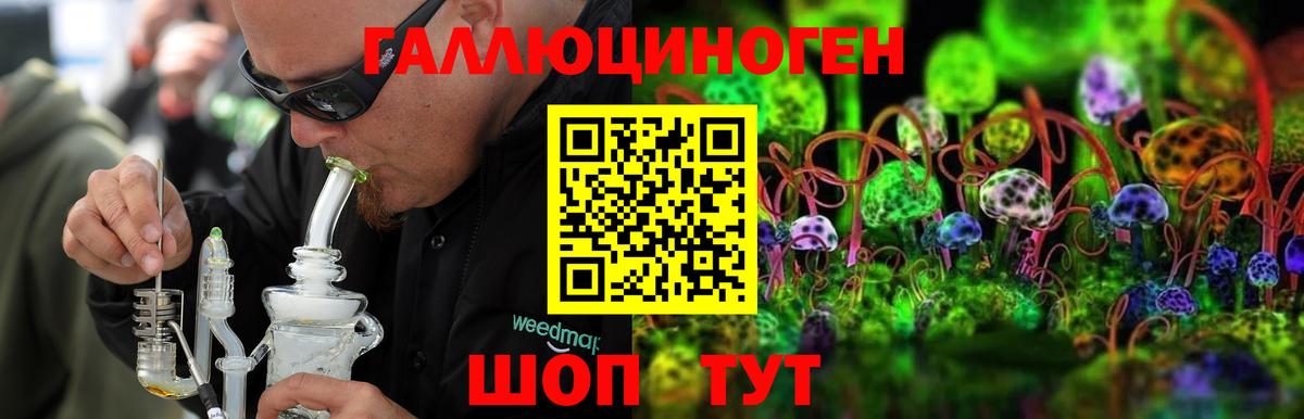 Галлюциногенные грибы Psilocybine cubensis  Вход с VPN  Великий Новгород  Псилоцибиновые грибы мицелий 